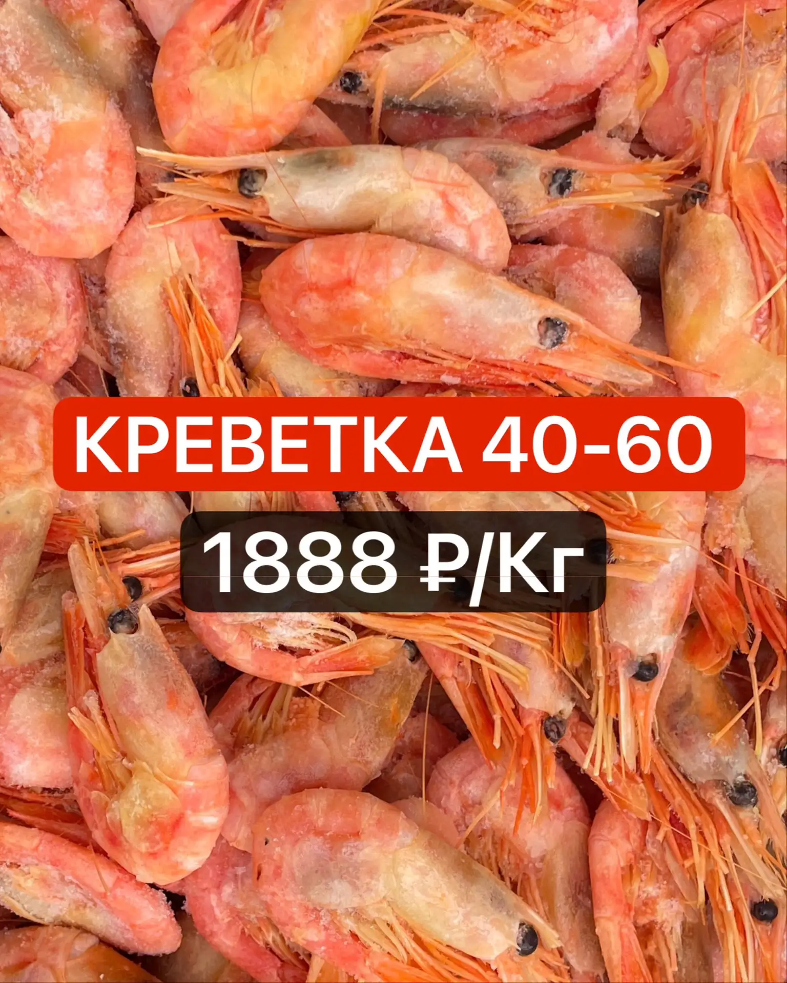 🦐 А У НАС ЭКСКЛЮЗИВ! СЕВЕРНАЯ КРЕВЕТКА 40/60! ❤️