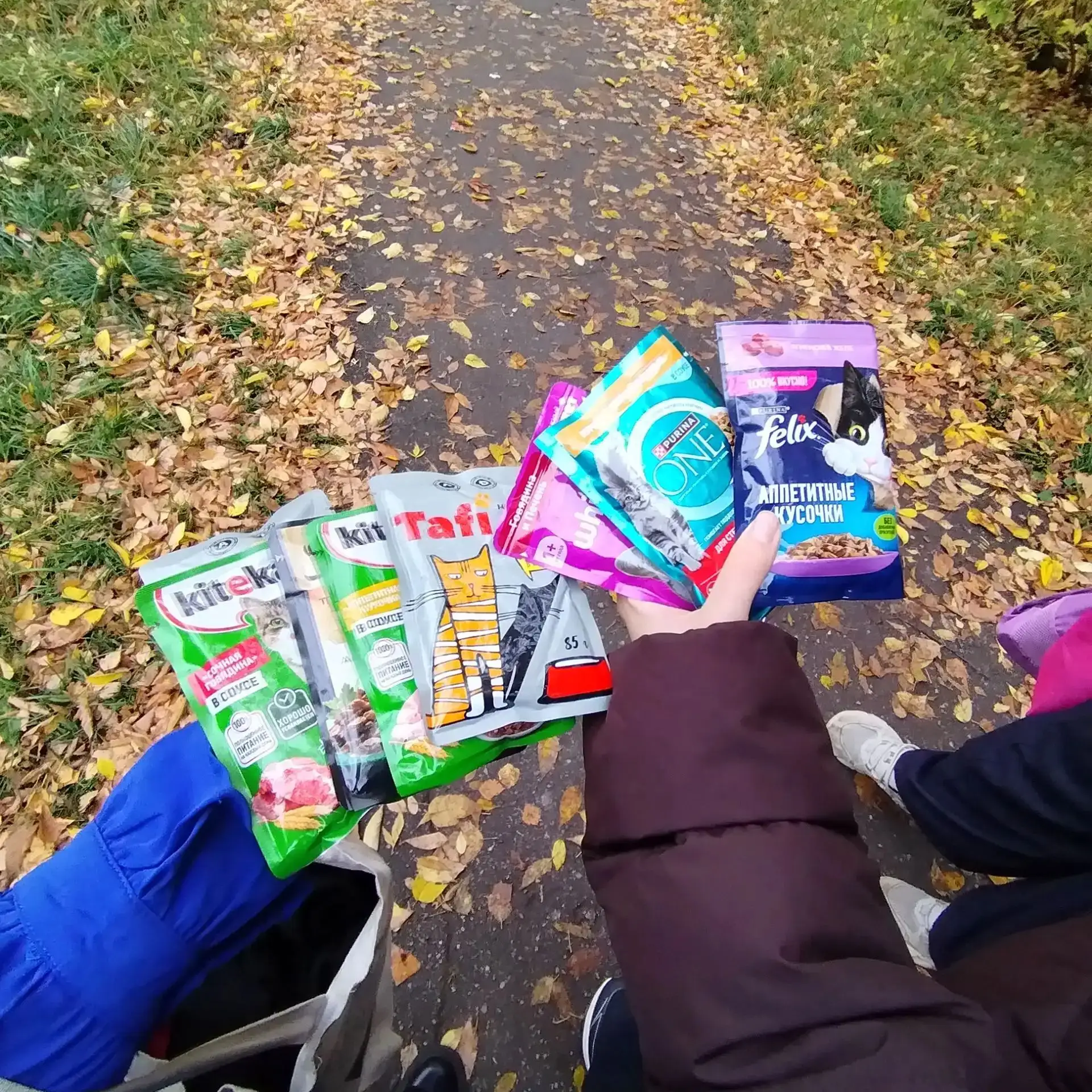 🍂 Осенняя эстафета добра