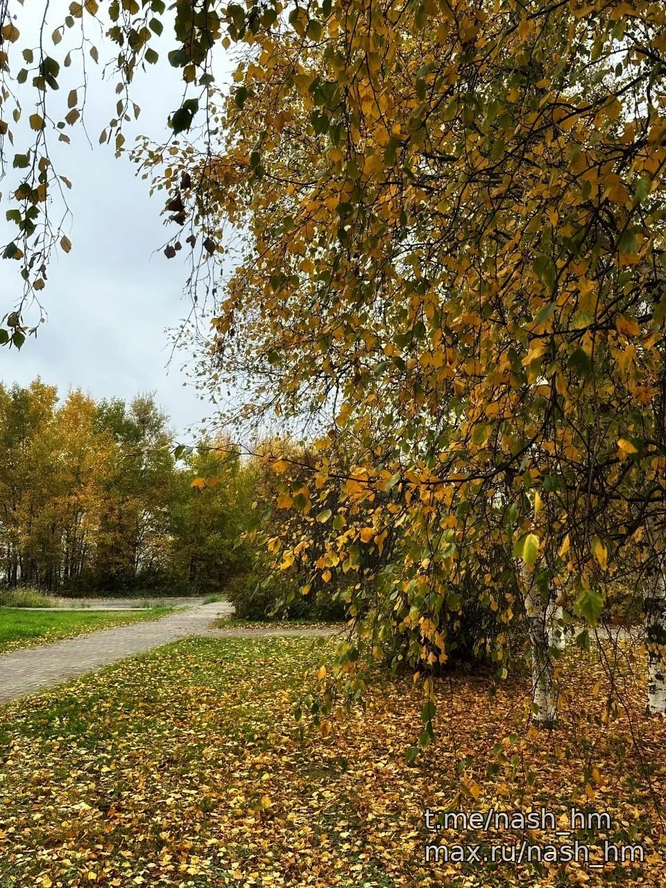Вот такая золотая осень❤️