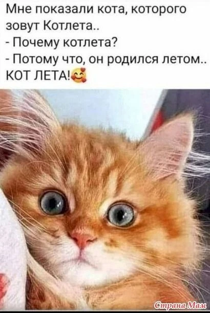 Открытки: подписаться ❤️