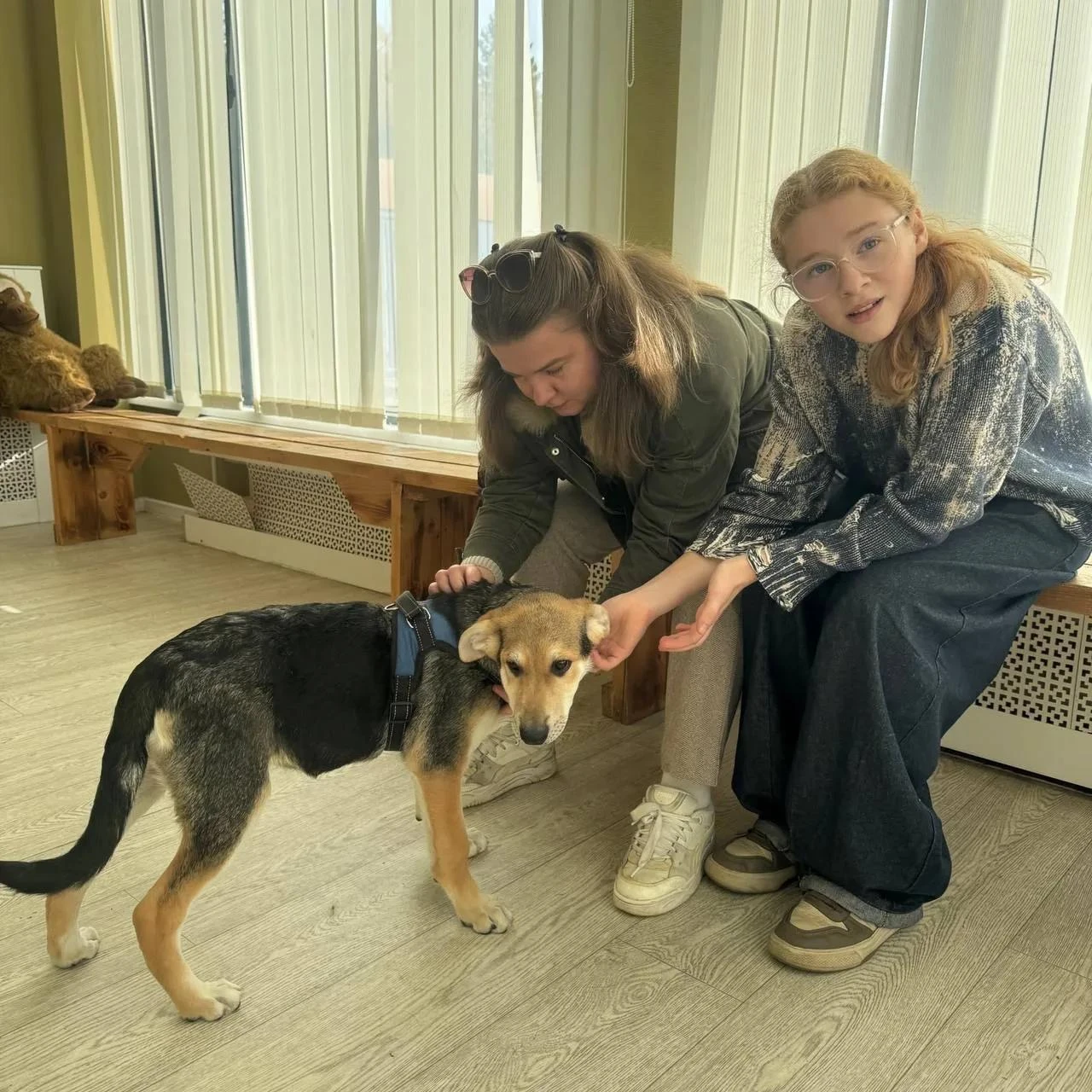 🐾 СВЕРШИЛОСЬ! 🥳