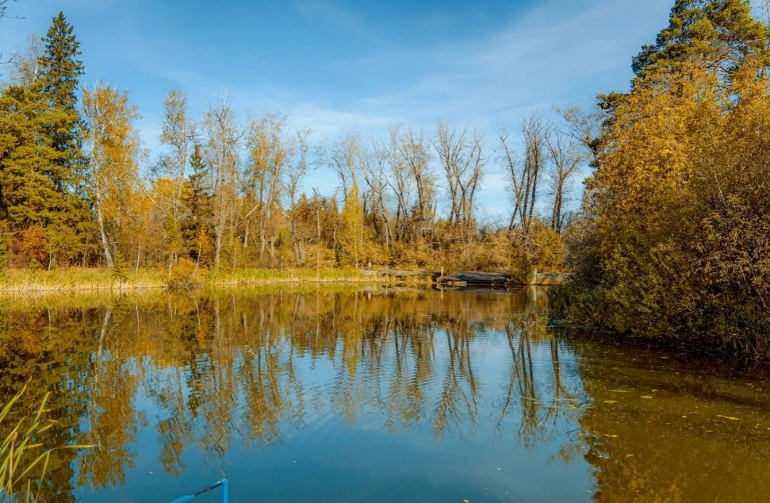 Осенний Парк Оловянникова 🍂🍁