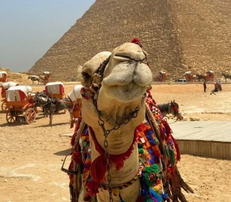 *ОБЗОР ПОСЛЕДНИХ МЕСТ И БЛИЖАЙШИХ ВЫЛЕТОВ ИЗ НОВОСИБИРСКА 🐪*