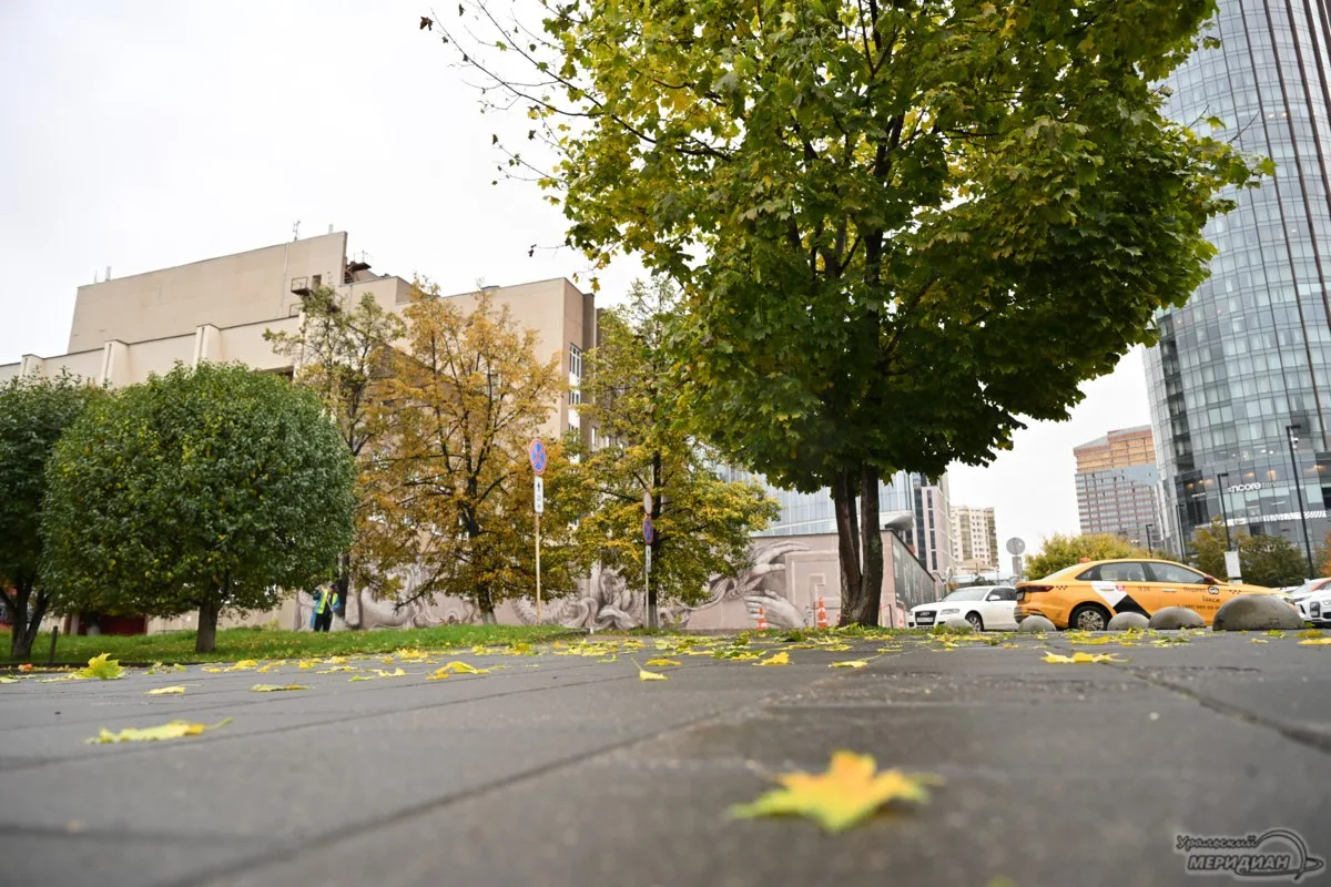 🍂В ближайшие три дня в Свердловской области ожидается переменная облачность с прояснен...