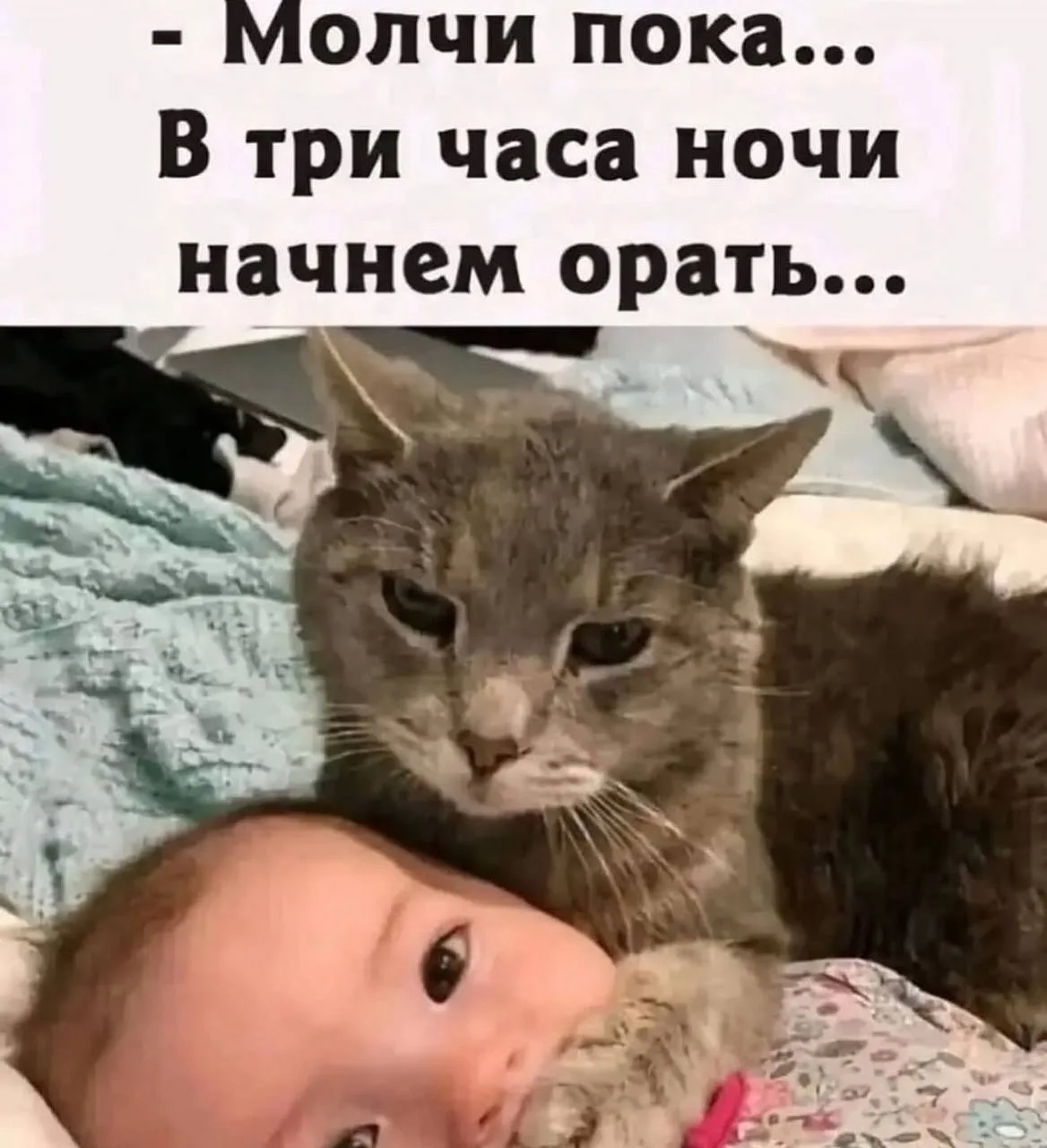 🤣Юмор в картинках