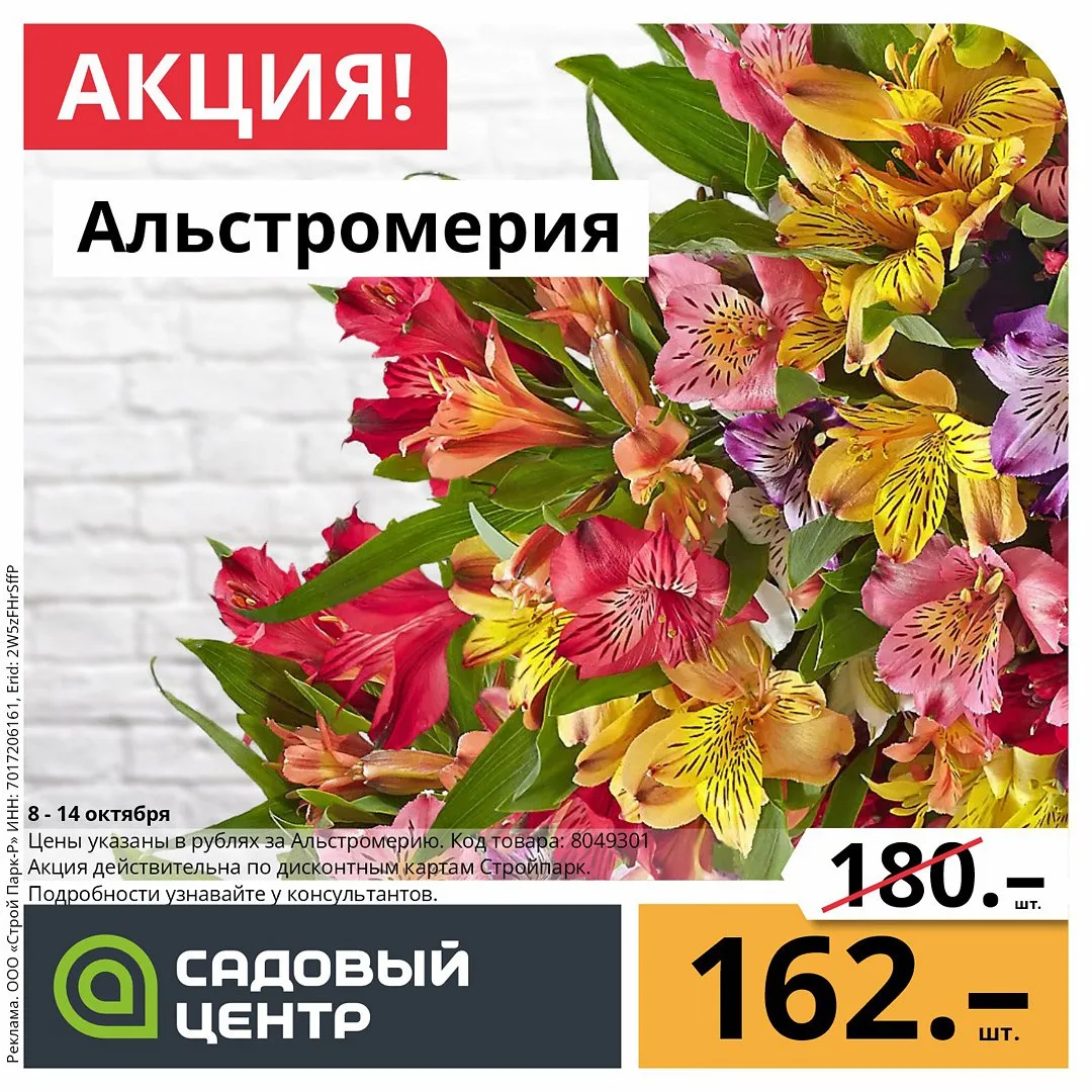 Акция!