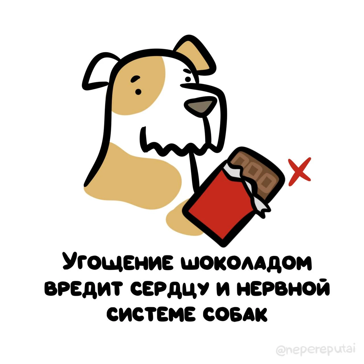Для собаки шоколад — это не любовь, а настоящий стресс!