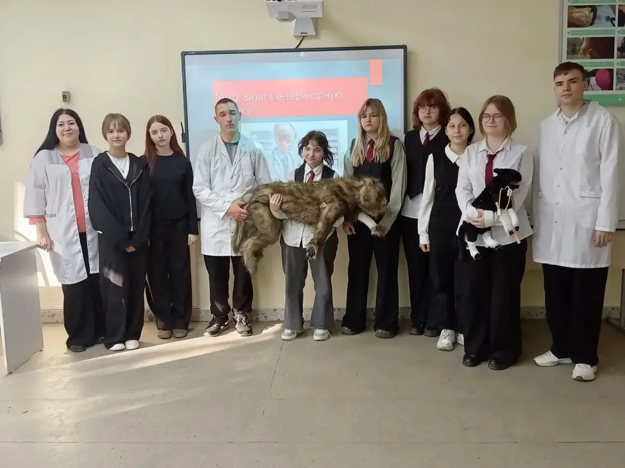🐾 Знакомство с профессией: ветеринария