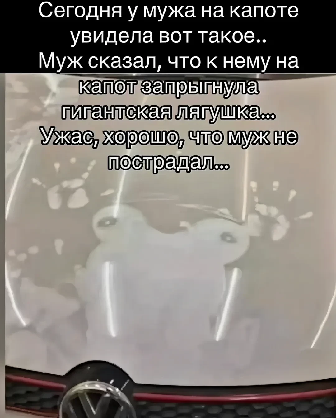 Хм, странная лягушка