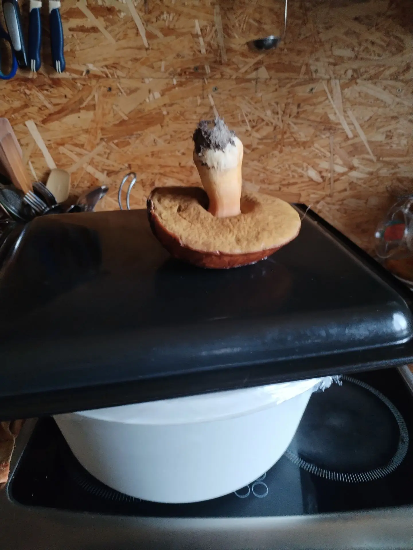Видео
