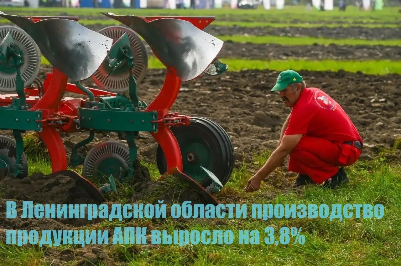 В Ленинградской области производство продукции АПК выросло на 3,8%