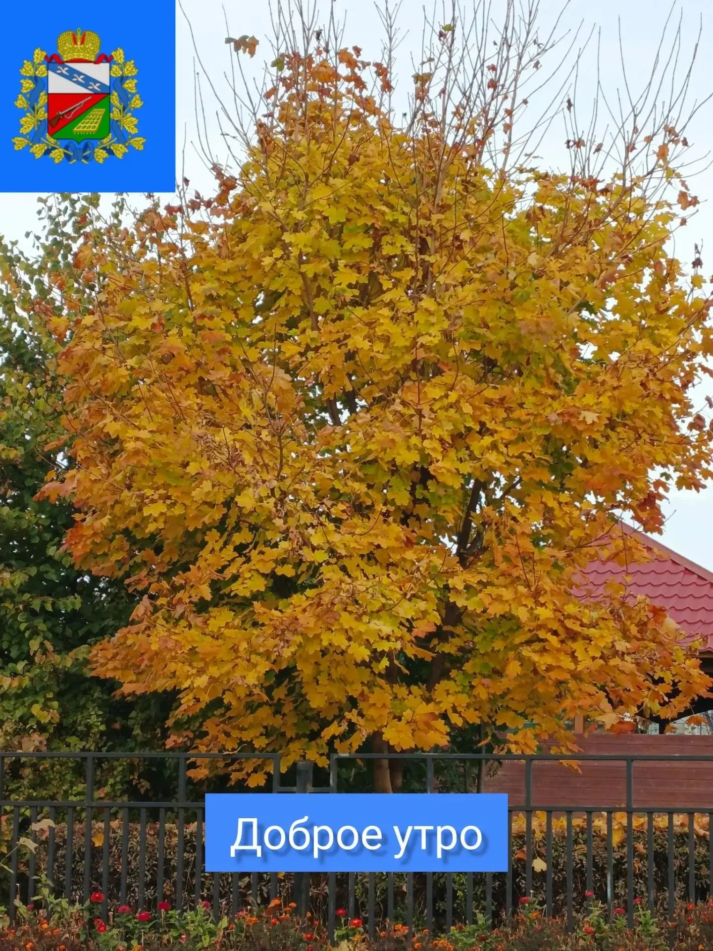 🍂ДОБРОЕ УТРО