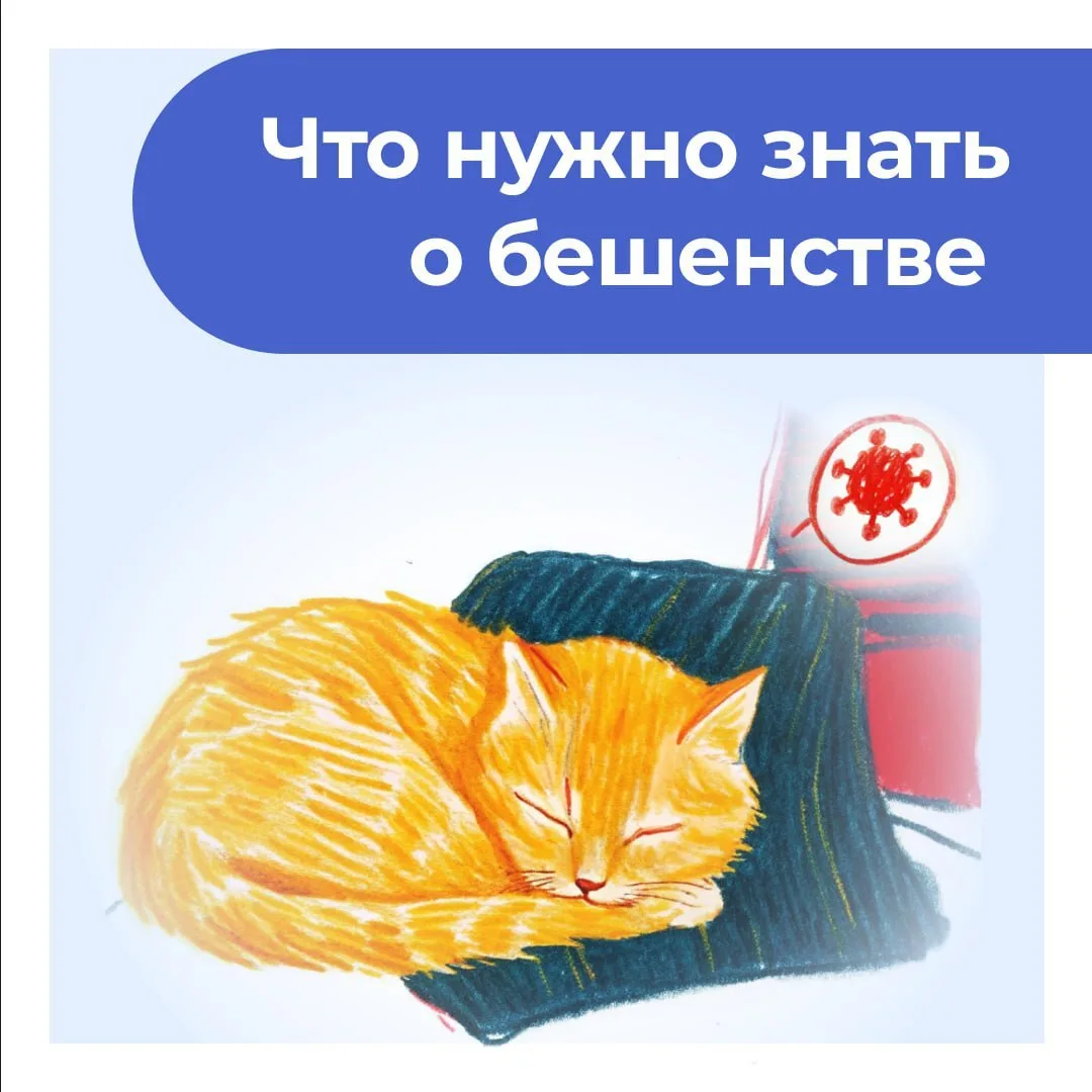 Смертельно опасно❗️