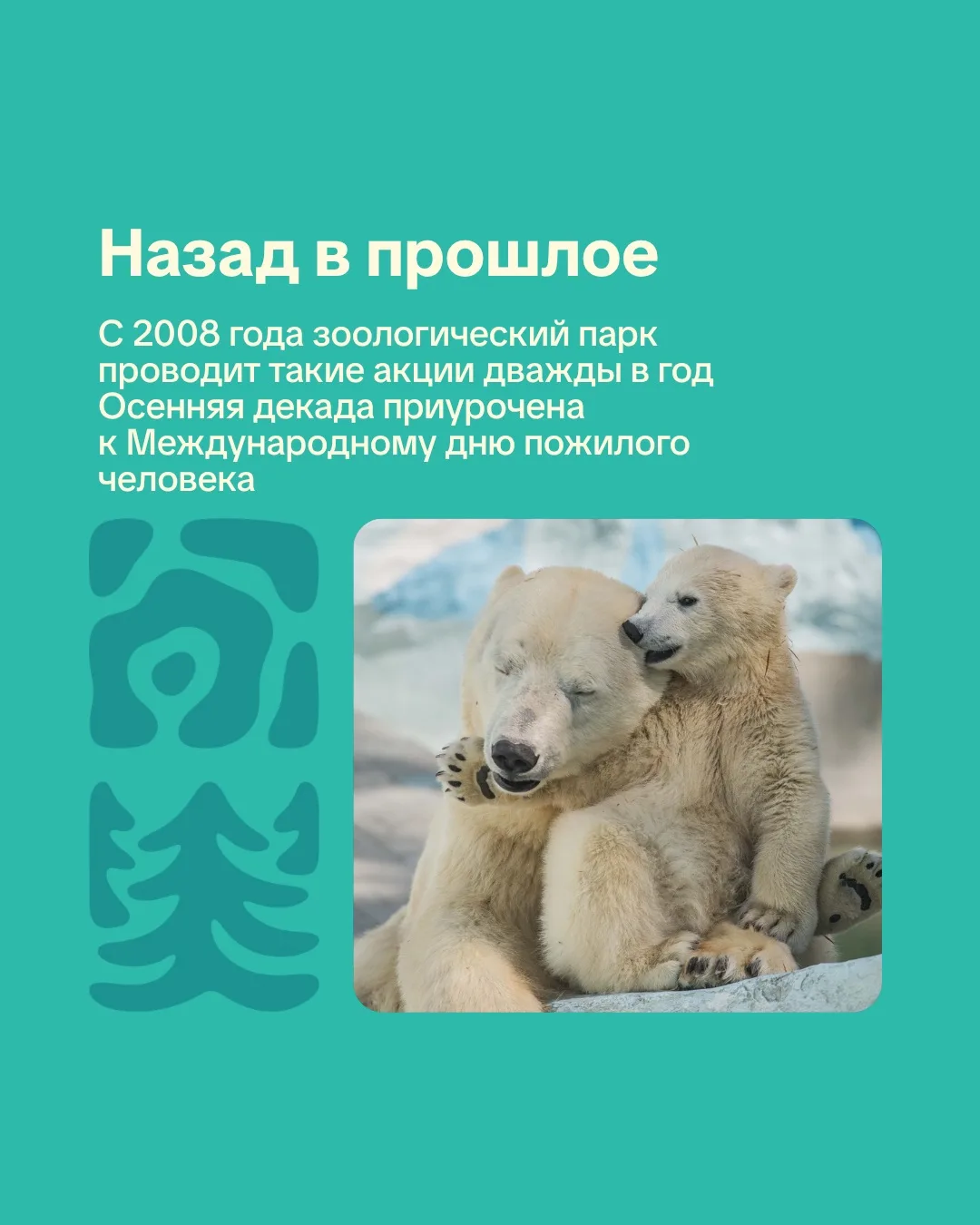 Новосибирский зоопарк. День в истории.