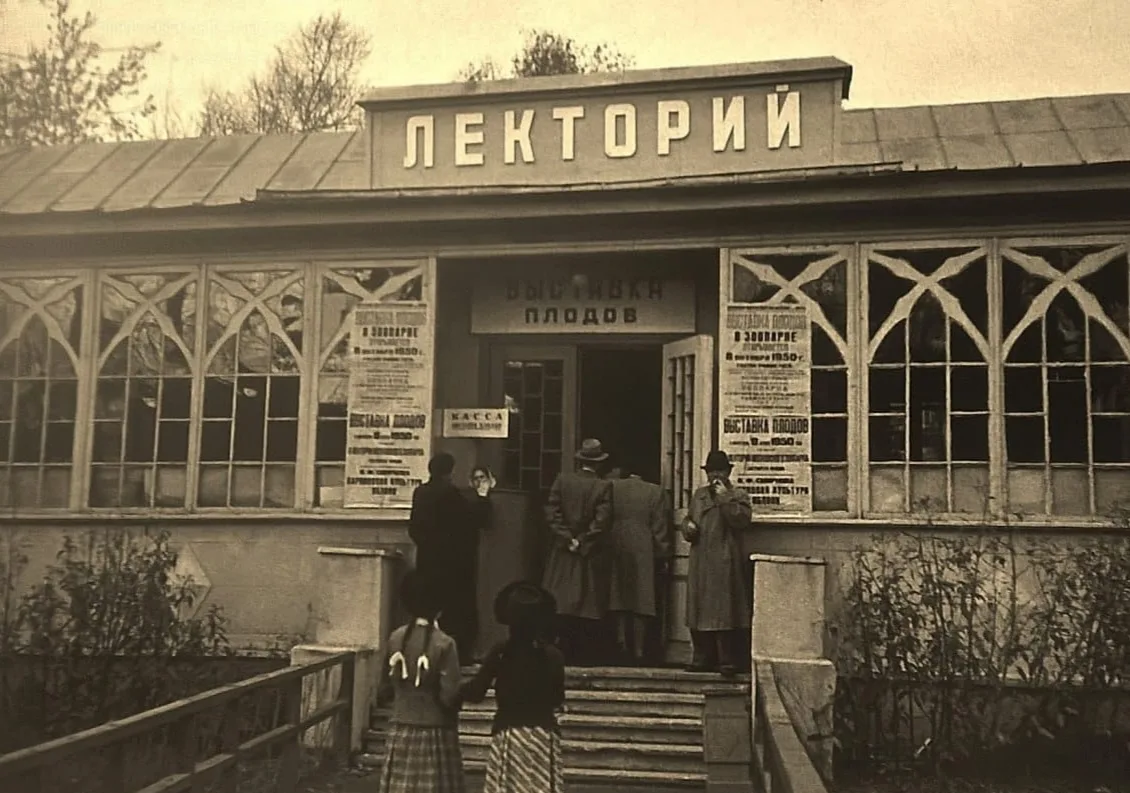 📚 Новая инициатива РИАМА: лекторий