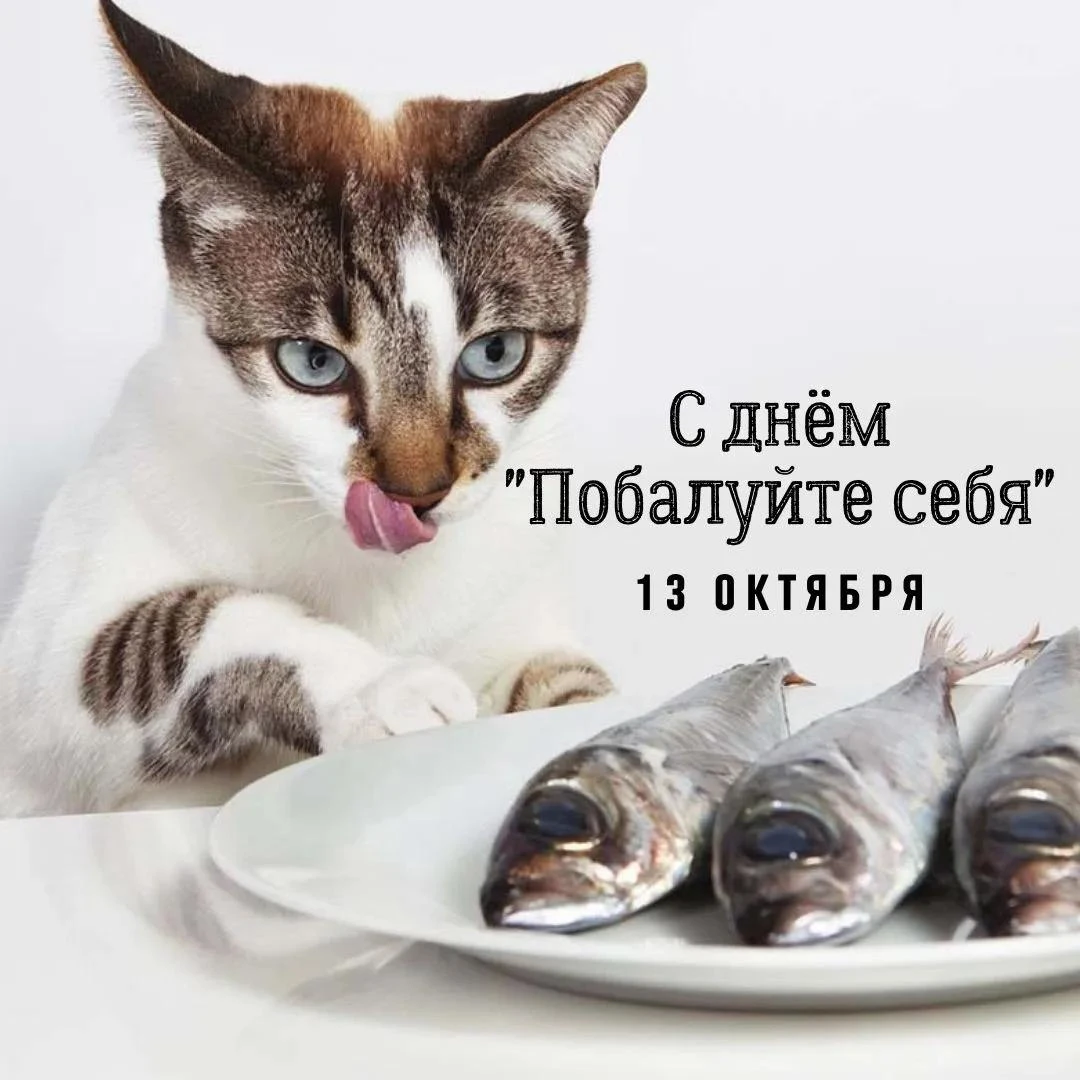 Сегодня 13 октября 2026 года, вторник - отмечается 13 праздников