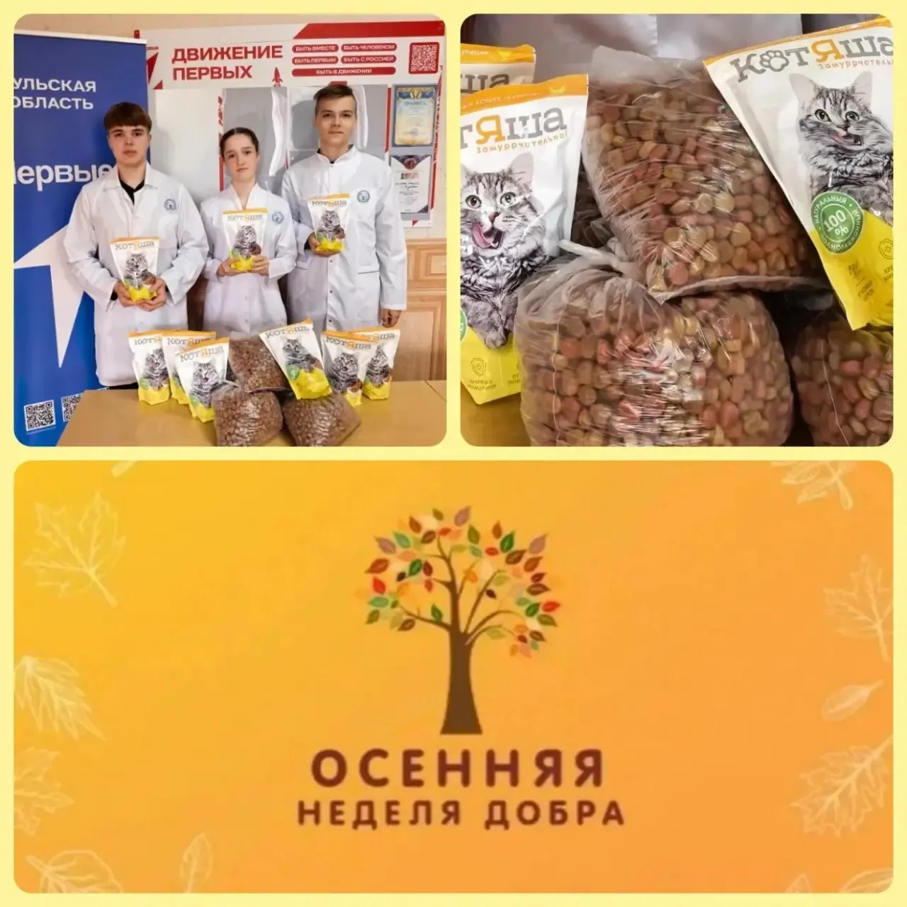 Помогаем братьям нашим меньшим 🐈 🐕