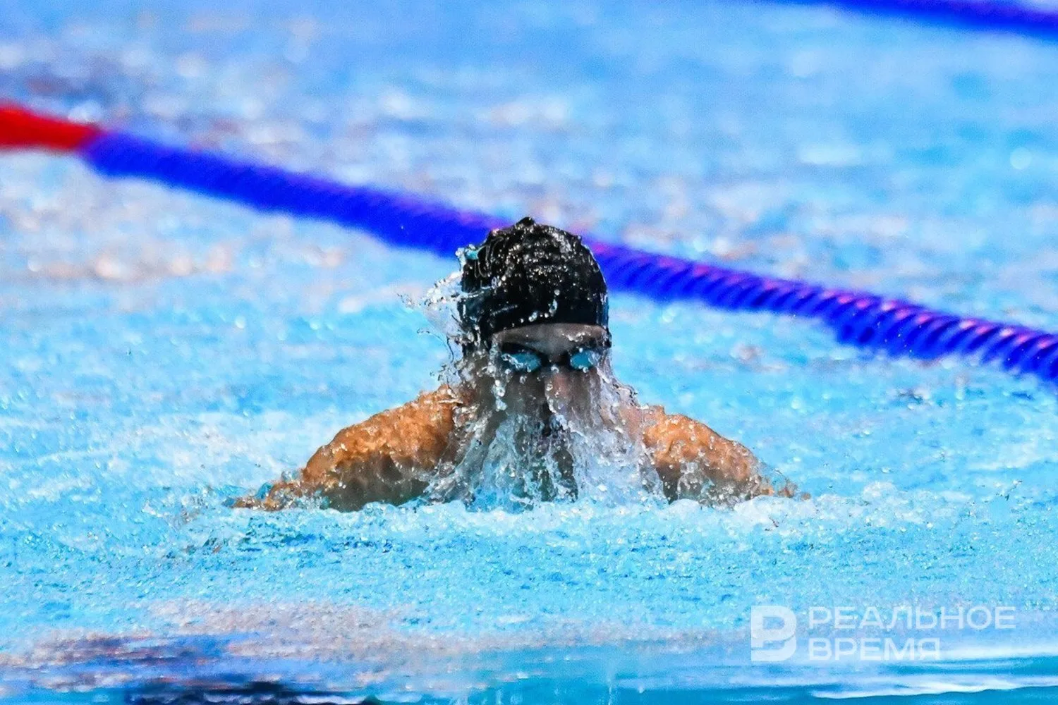 World Aquatics готова рассмотреть проведение ЧМ в России, но не в Казани