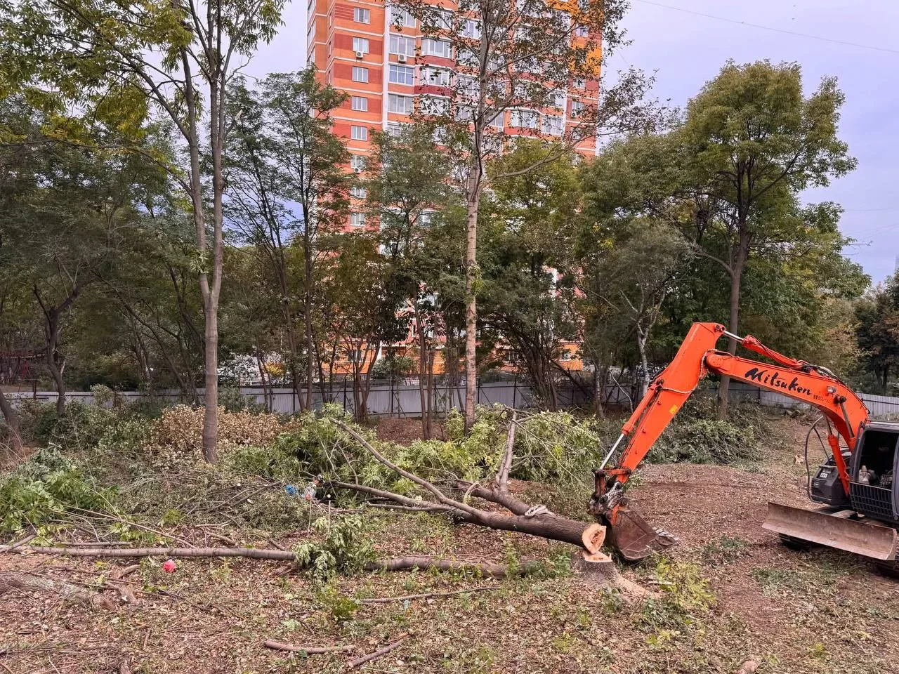 Во Владивостоке завершена вырубка сквера имени Лазо, расположенного на улице Каспийской...