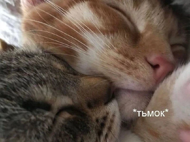 ✨ Доброе утро, друзья!
