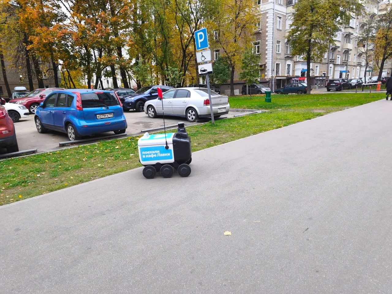 В нашем районе всё чаще начали встречать роверов. Одного такого заметила автор под нико...
