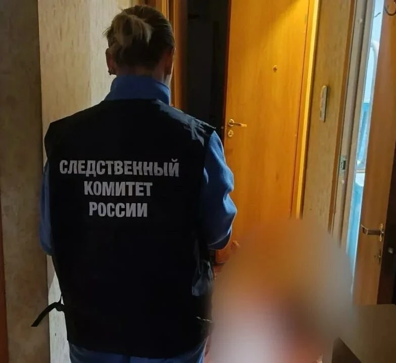 Во Всеволожском районе перед судом предстанет мужчина, обвиняемый в убийстве женщины