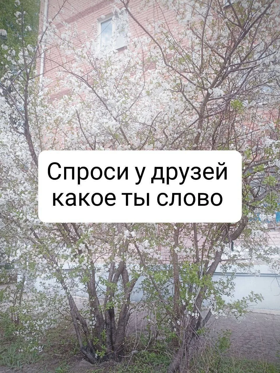 какое ты слово