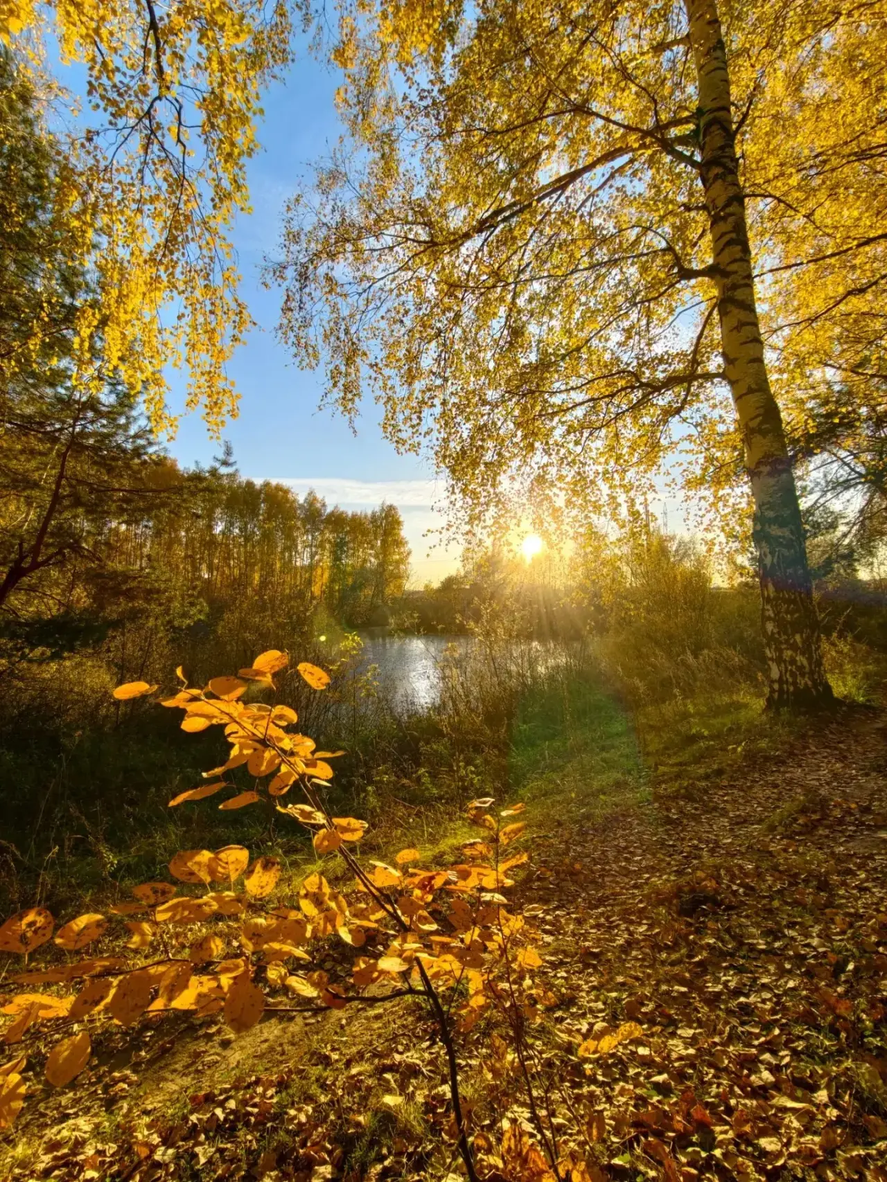 Нинди матурлык! 😍🍁