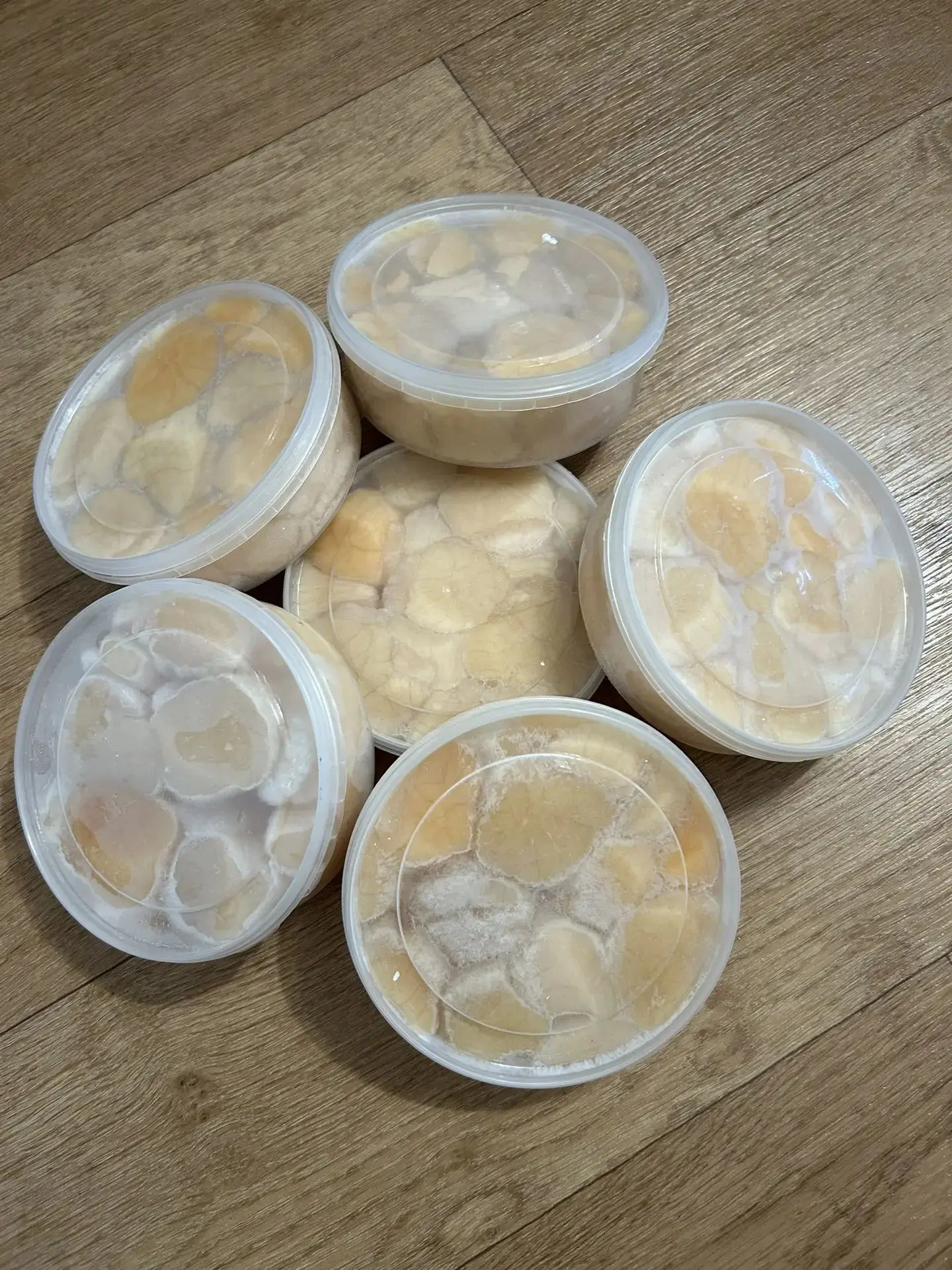 Салатное мясо Камчатского краба