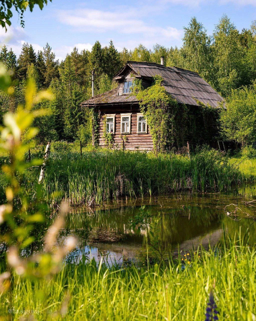 В Питерской деревеньке 😍