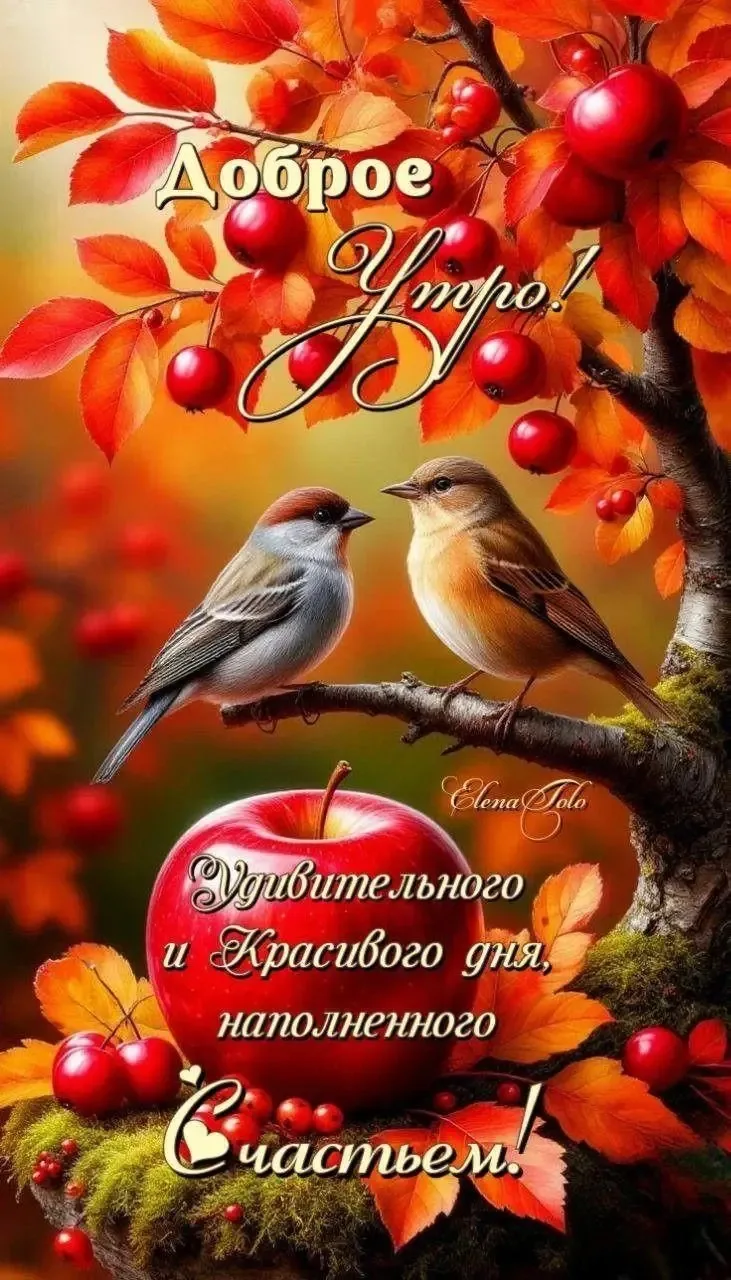 Второй канал 👉 Открытки на все случаи жизни