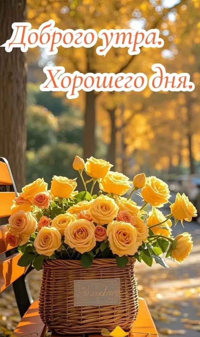 Доброе утро!💛