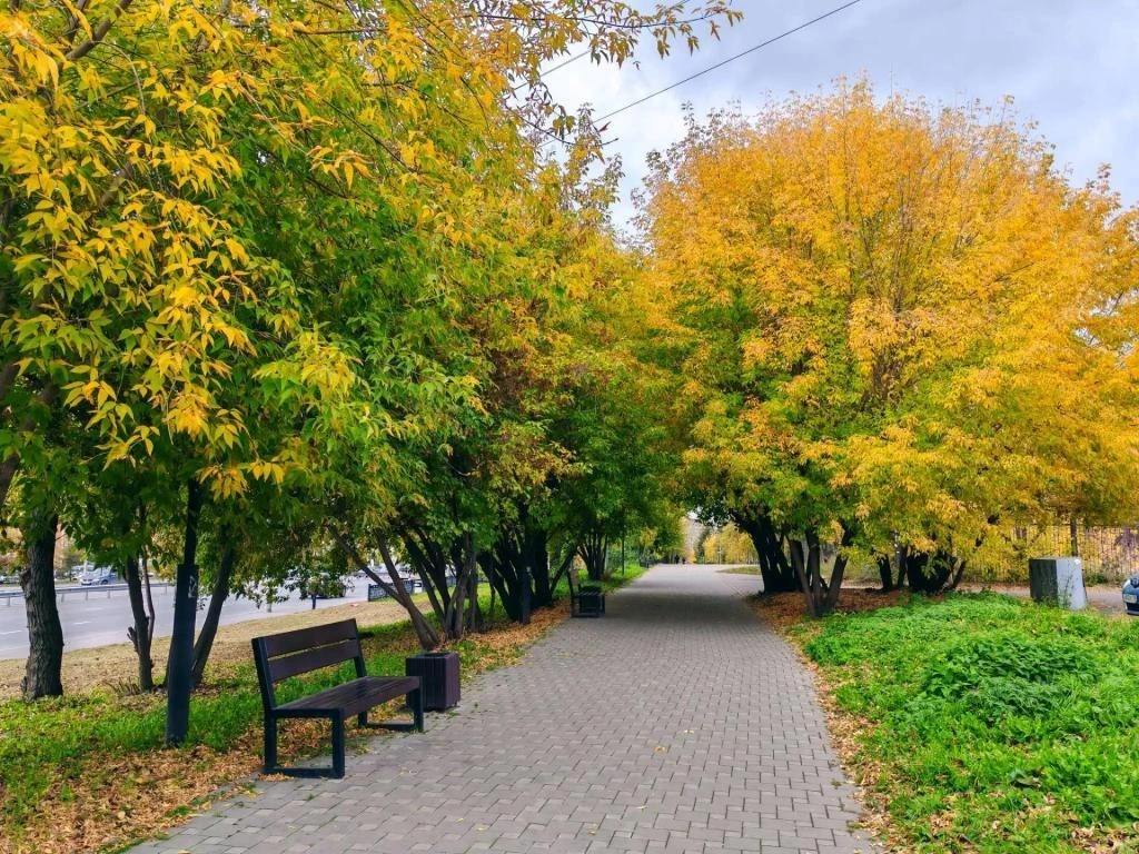Доброе утро, добрые люди ☺️