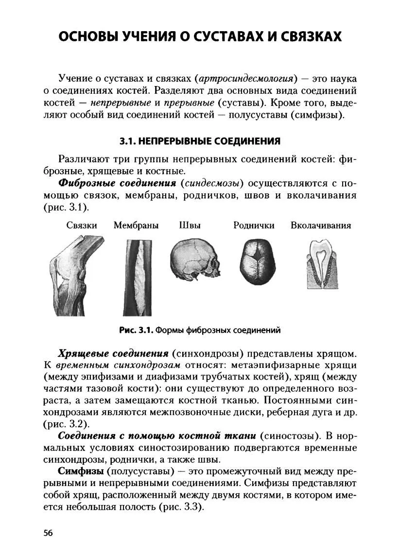 Основы учения о суставах и связках