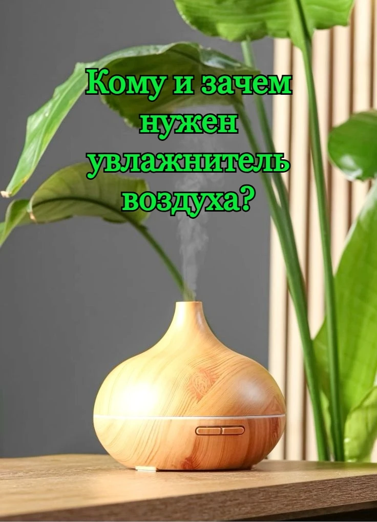 Кому и зачем нужен увлажнитель воздуха?