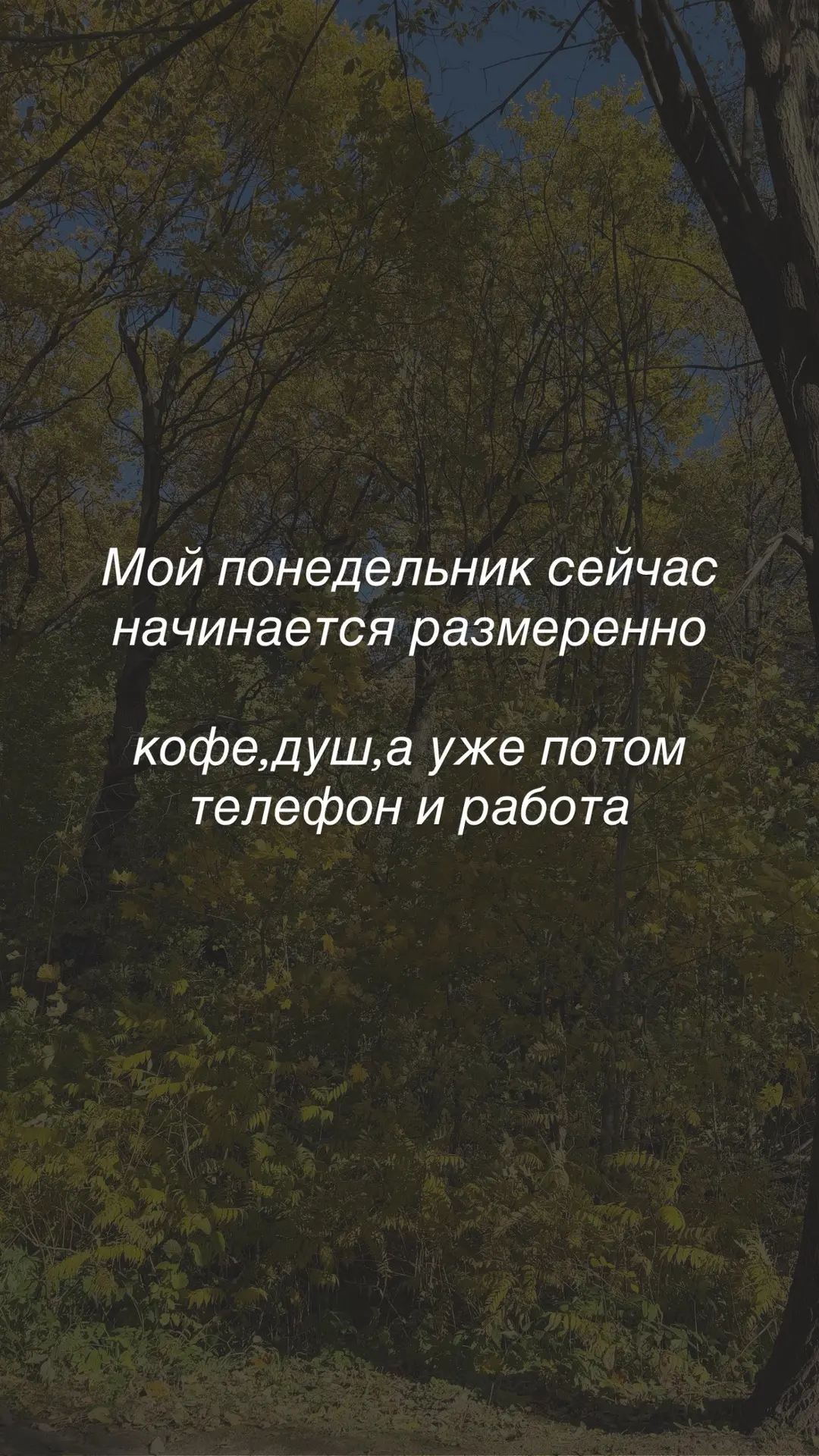 🔥Раньше я думала, что в интернете зарабатывают