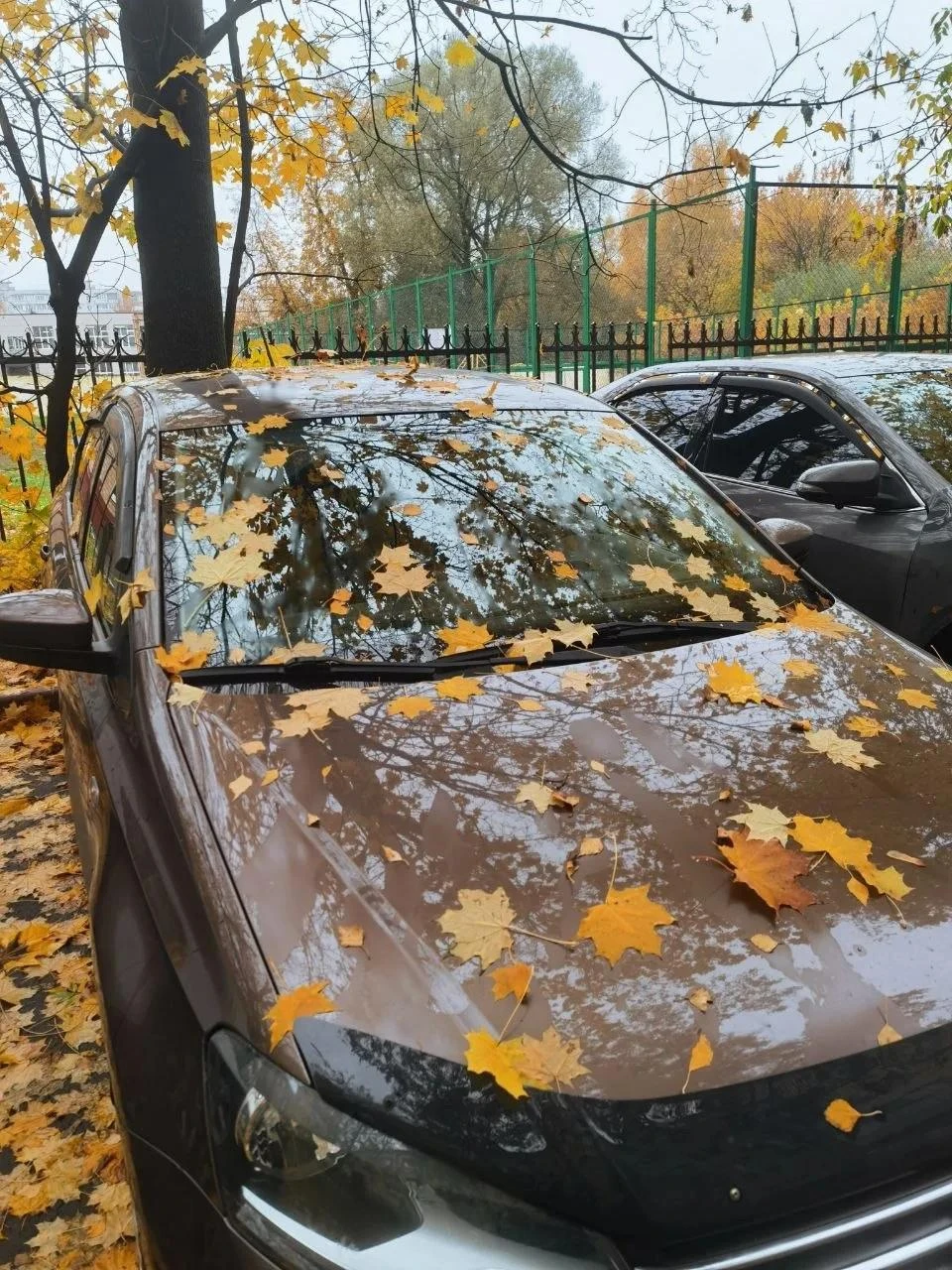 Немного осеннего тюнинга вам в ленту 🍂