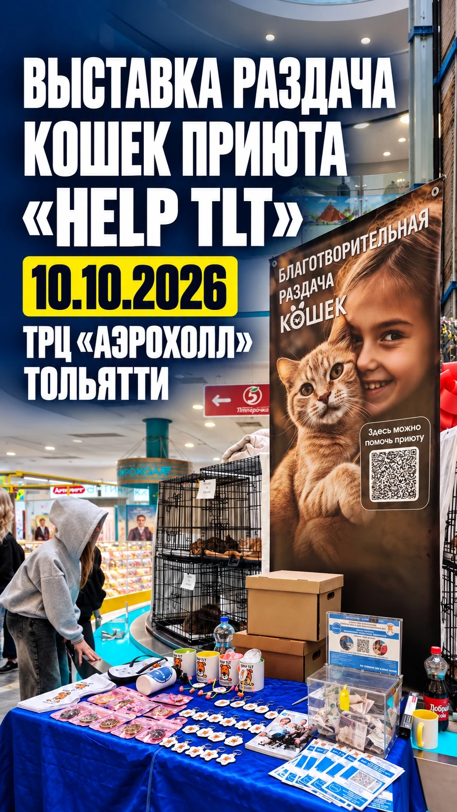 🐾 Друзья, 10 октября 2026 года прошла очередная выставка-раздача кошек. Свой новый дом...