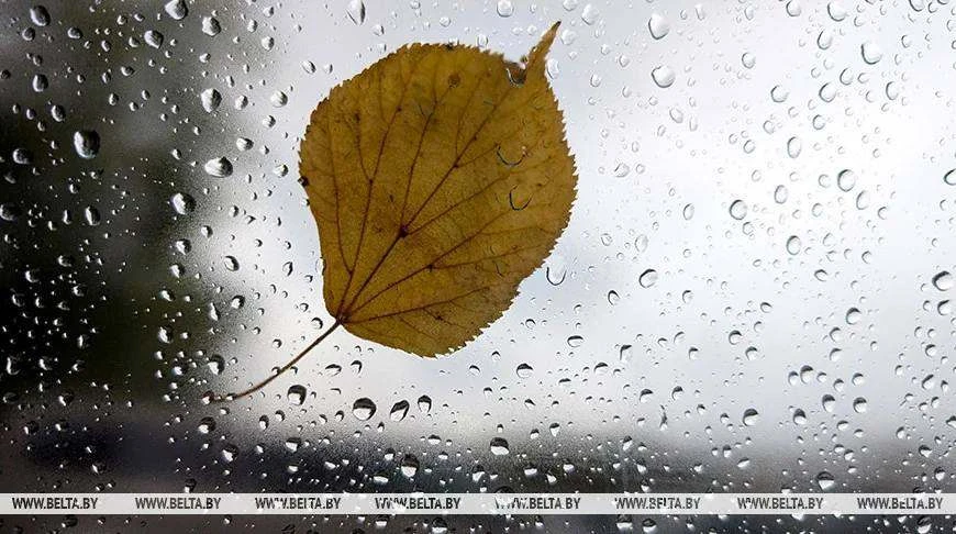 🌦Дожди, грозы и до +21°С ожидается сегодня в Беларуси - Белгидромет