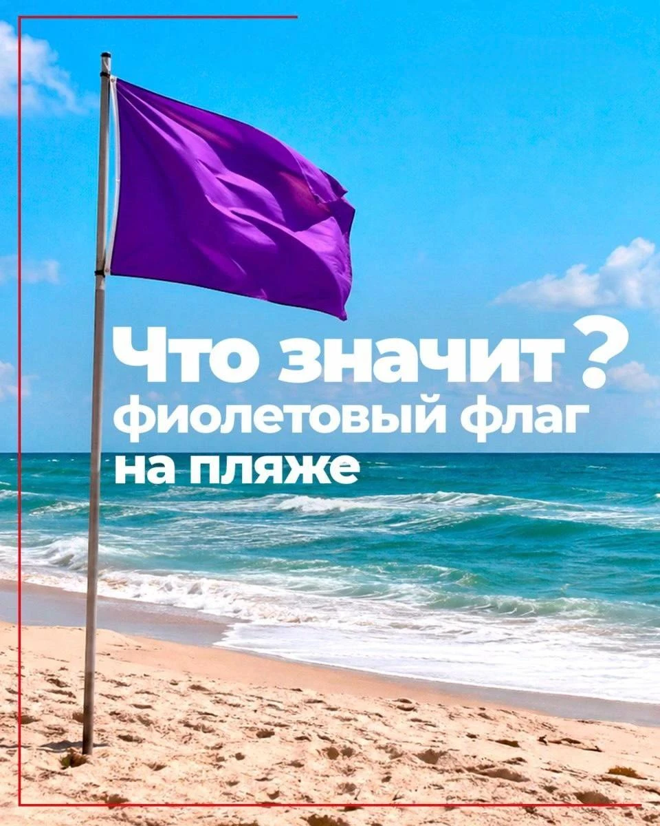 🟥 Ред флаг знают все... А что насчет фиолетового?
