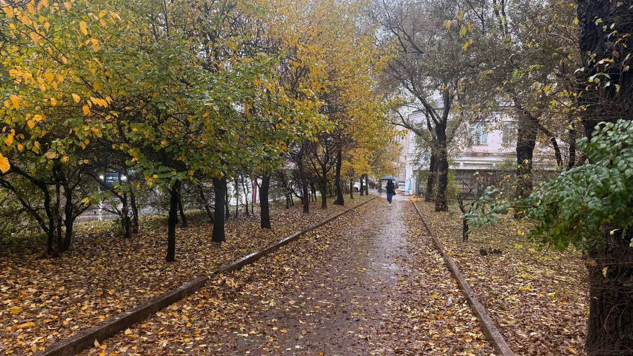 🗓Картина дня: сокращение маршрутов электричек, "раздетые" локомотивы, конкурс педмасте...