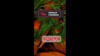 Вывод: дружить можно! Но только осторожно 🙌🏻
