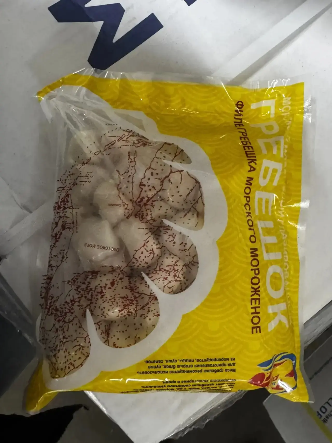 Курильский морской гребешок.