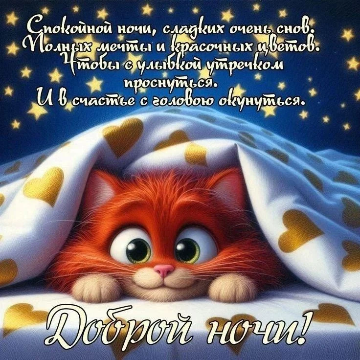 Спокойной ночи 🛏️