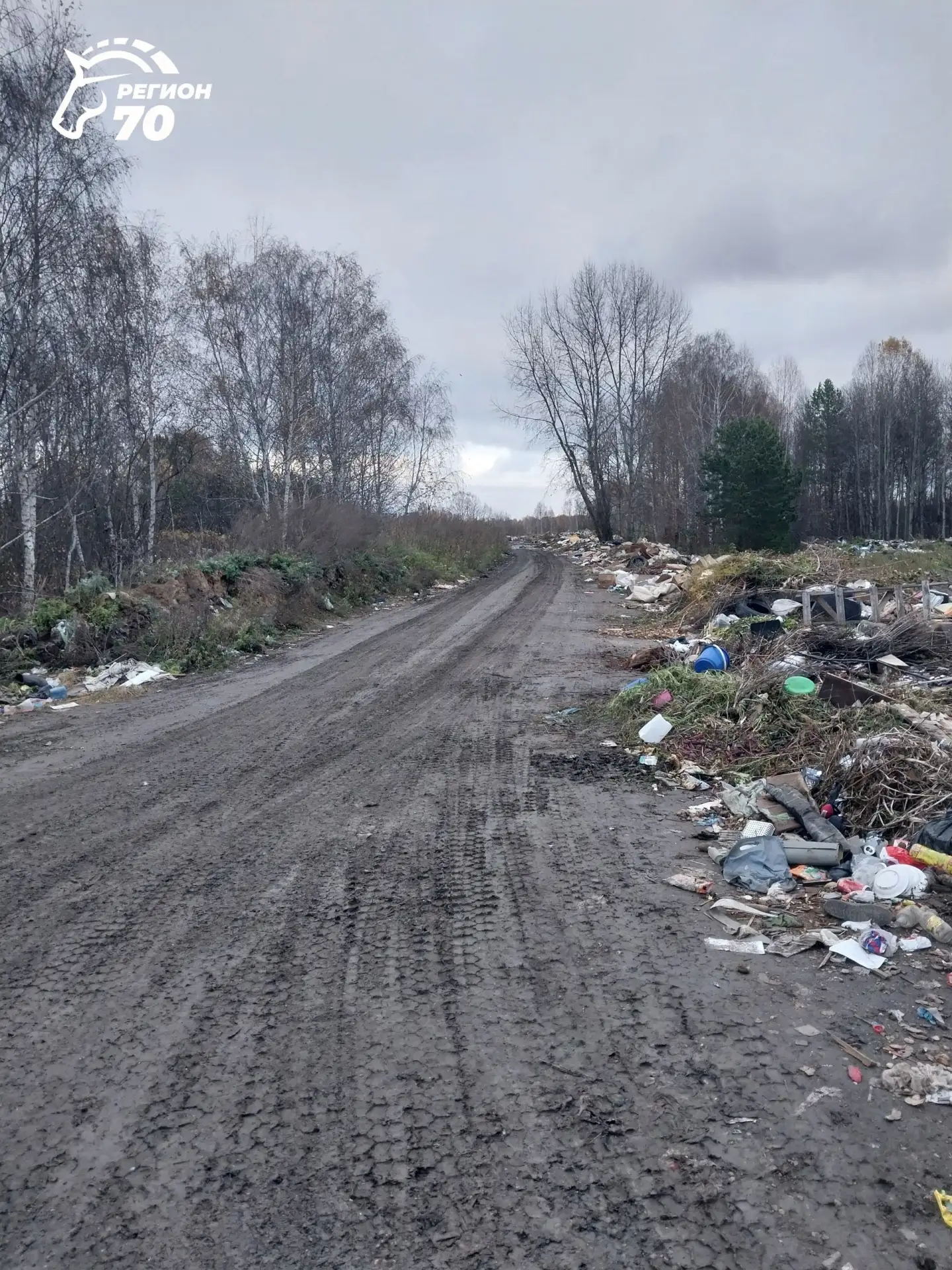 В Зырянском районе, недалеко от села Зырянское (в сторону д. Дубровки), образовалась ог...