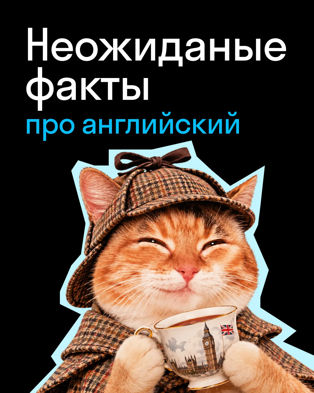 🎻🦊 Скрипка-лиса-а-а
