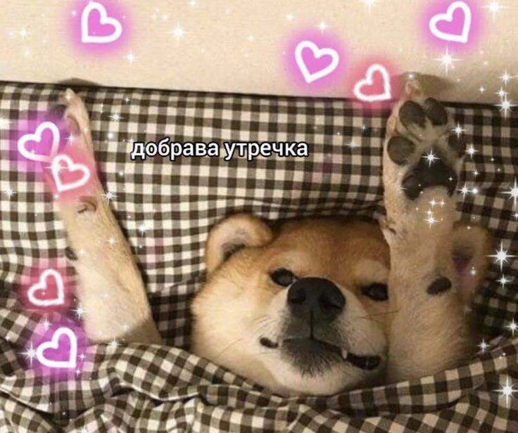 Доброе утро, Оренбург!