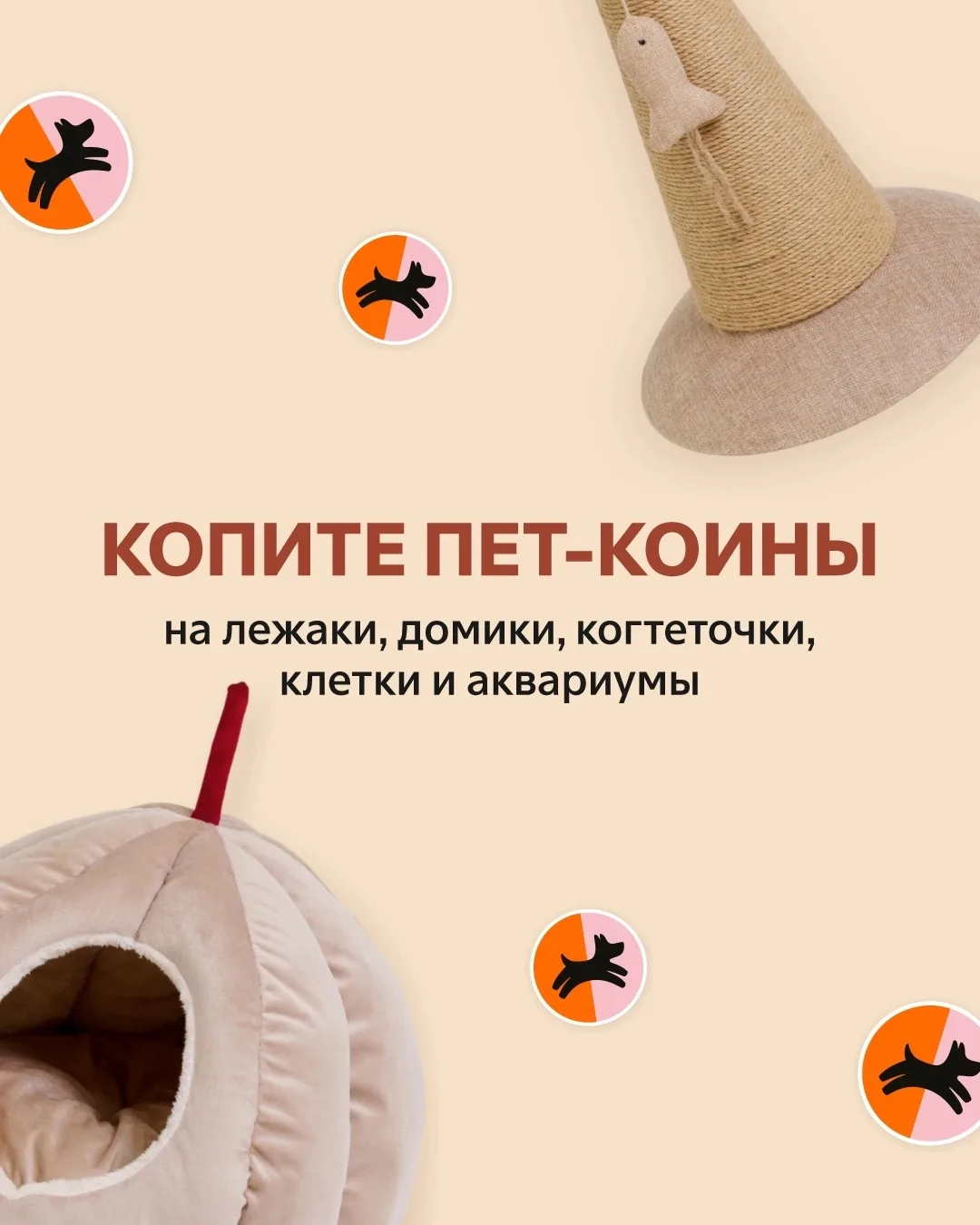 Грядут уютные перемены🍁