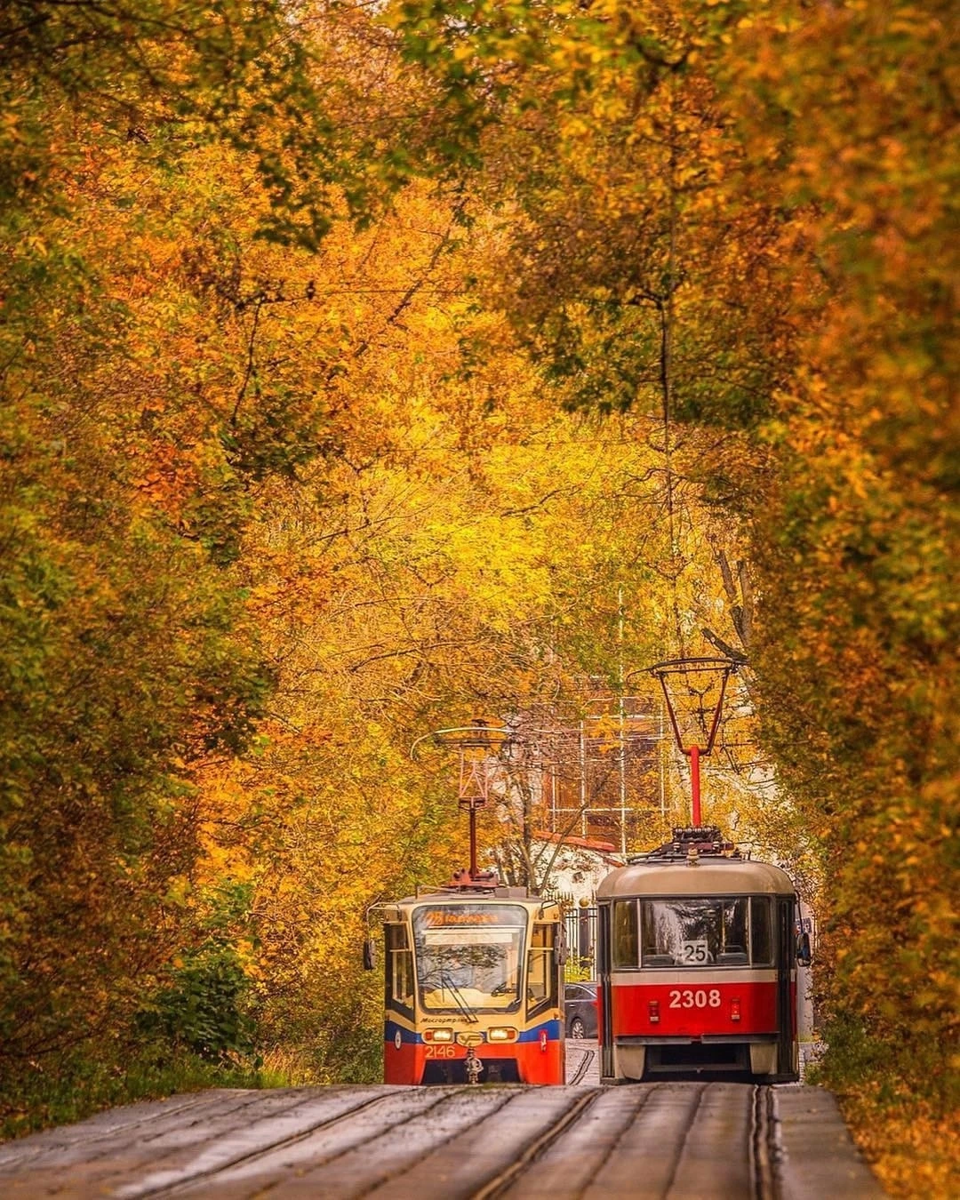 Осенние трамвайчики. Москва.