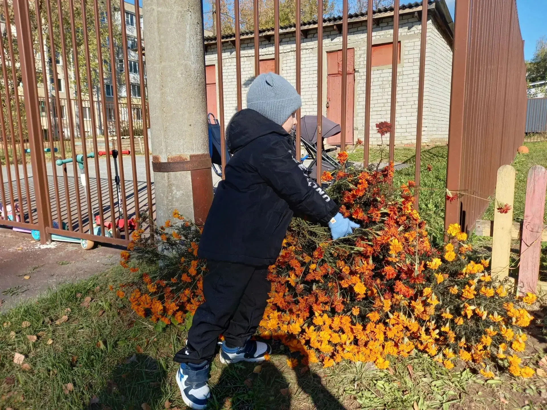 "Труд детей в природе"